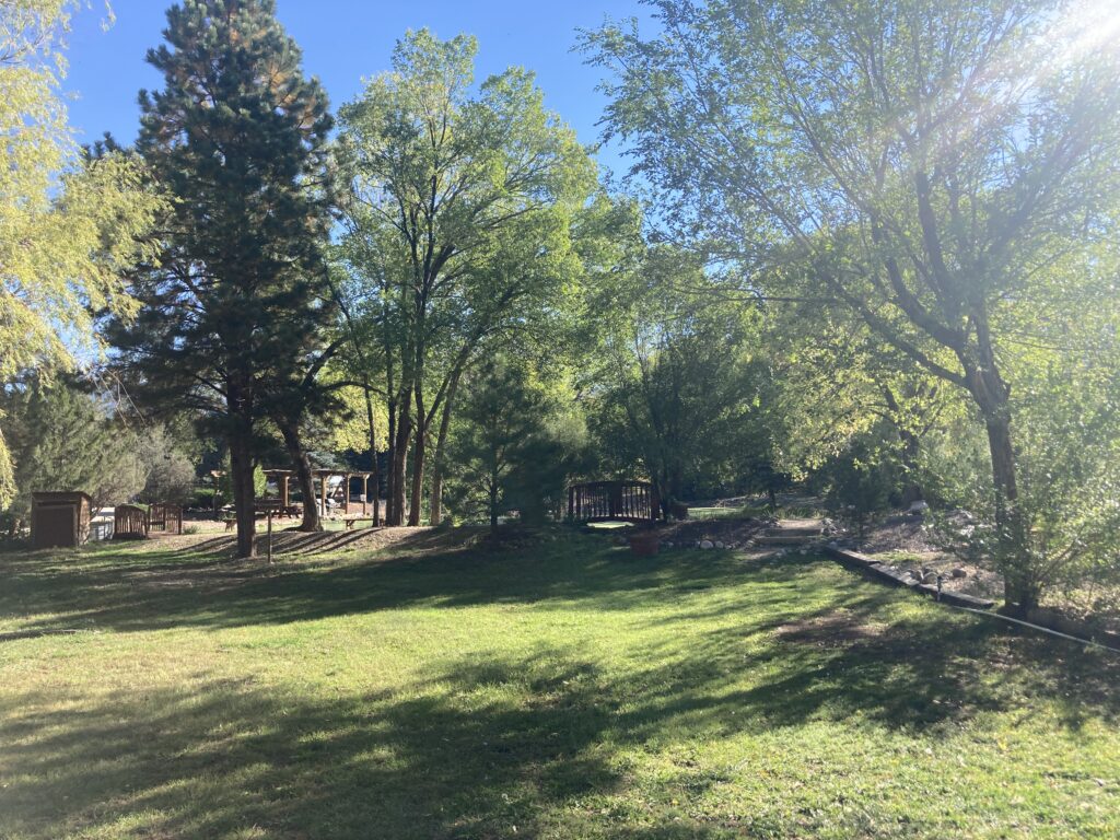 Questa Lodge has a grassy park area