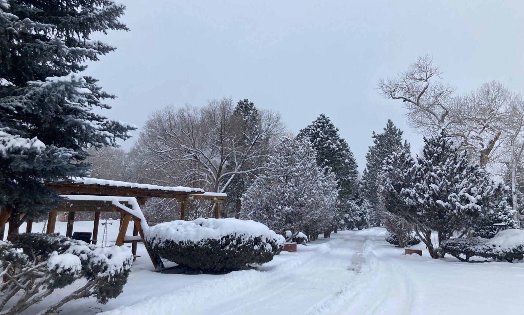 Snowy Day at Questa Lodge